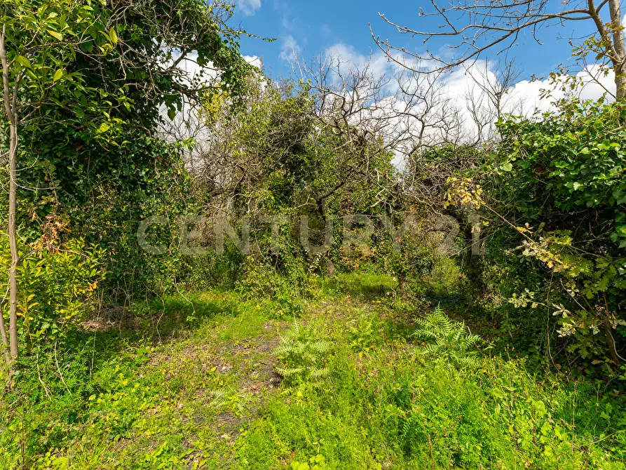 Immagine 27 di Terreno agricolo in vendita  in via giuseppe zinghirino 1 a Giarre