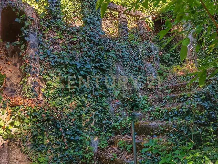 Immagine 5 di Rustico / casale in vendita  in Via dell'Eremo 1 a Castiglione D'orcia