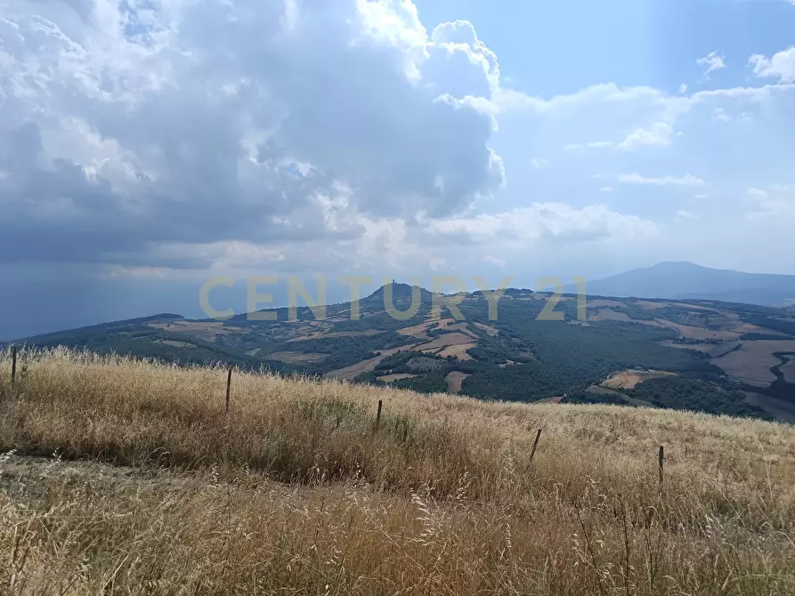 Immagine 13 di Terreno edificabile in vendita  in Località Podere Scarpetta 90 a Radicofani