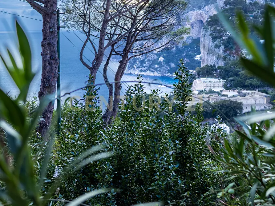 Immagine 6 di Villa in vendita  in Via Tuoro 11 a Capri