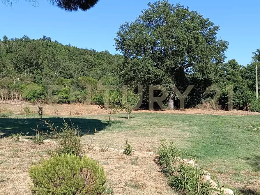 Immagine 29 di Rustico / casale in vendita  a Manciano