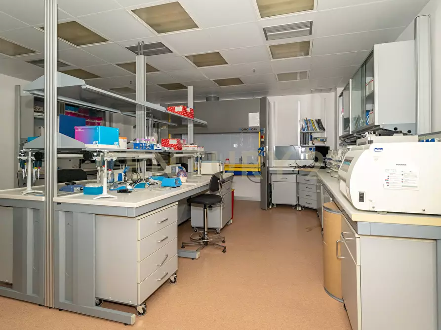 Immagine 45 di Attività artigianale in vendita  in Strada III Mimosa 14 a Catania