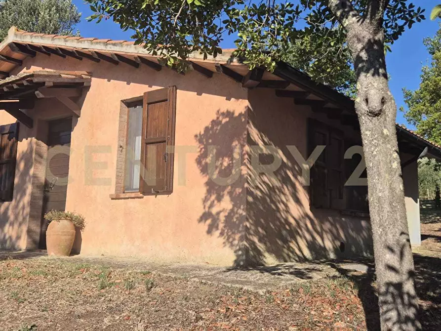 Immagine 4 di Azienda agricola in vendita  in località poggio al capraio snc a Roccastrada