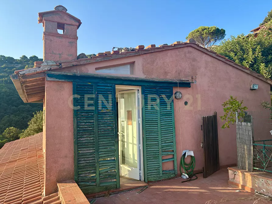 Immagine 11 di Bilocale in vendita  in località cala piccola a Monte Argentario