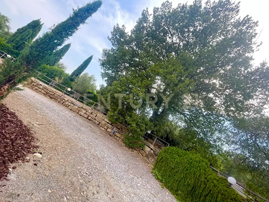 Immagine 23 di Azienda agricola in vendita  in località colle di lupo a Magliano In Toscana
