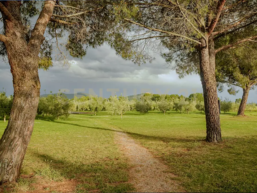 Immagine 15 di Rustico / casale in vendita  in località podere dogana a Roccastrada