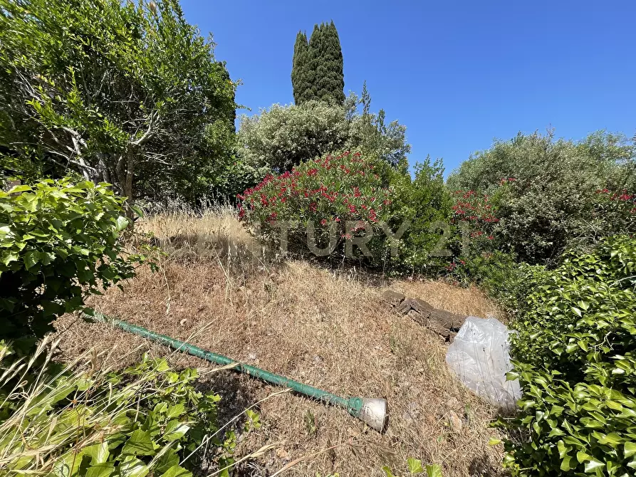 Immagine 20 di Rustico / casale in vendita  in località cannatelli snc a Monte Argentario