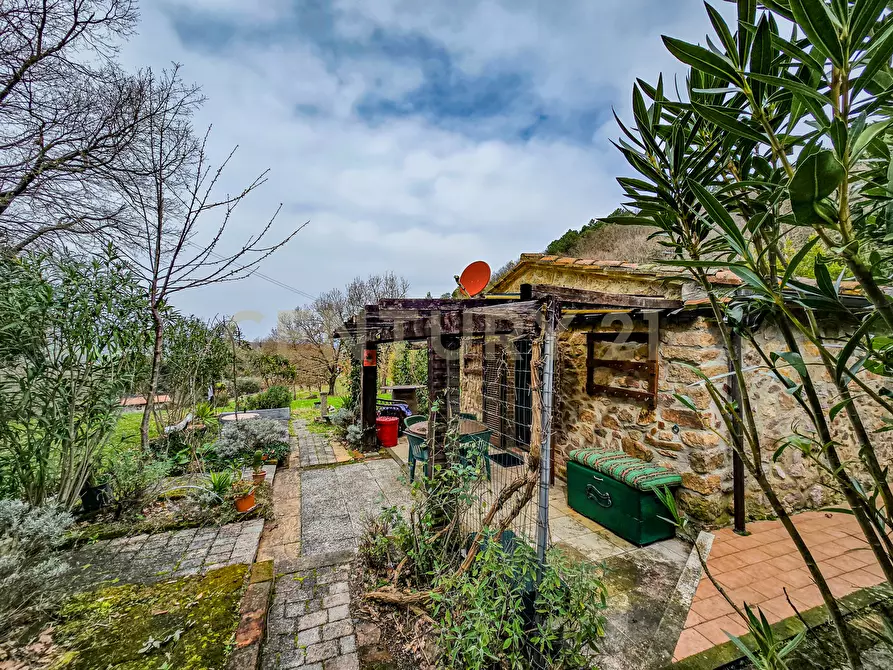 Immagine 14 di Rustico / casale in vendita  in Località Camaiano snc a Roccastrada