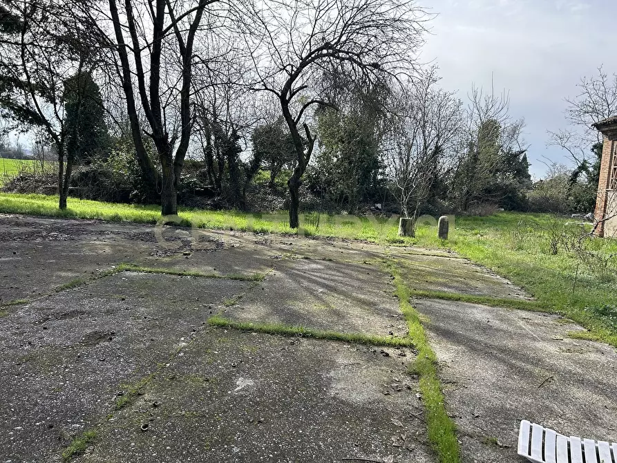 Immagine 26 di Rustico / casale in vendita  in Argine San Lorenzo 11 a Ostiglia