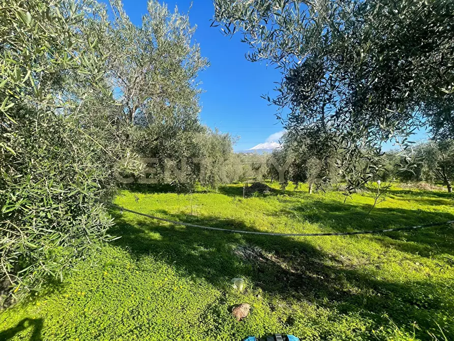 Immagine 52 di Terreno agricolo in vendita  in contrada agnelleria a Belpasso