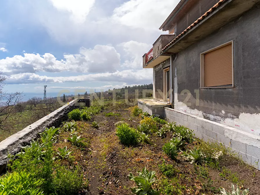 Immagine 34 di Villa in vendita  in SP155 82 a Mascali