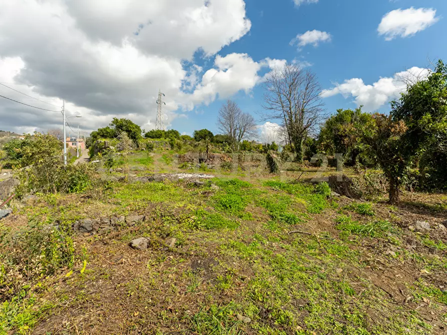 Immagine 10 di Terreno agricolo in vendita  in via giuseppe zinghirino 1 a Giarre