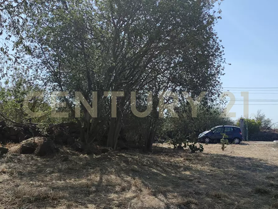 Immagine 25 di Terreno agricolo in vendita  in CONTRADA RACCOMANDATA a Misterbianco