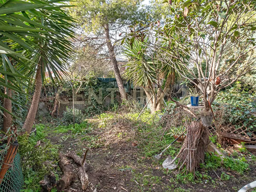Immagine 14 di Pentalocale in vendita  in Via delle Ginestre s.n.c. a Pedara