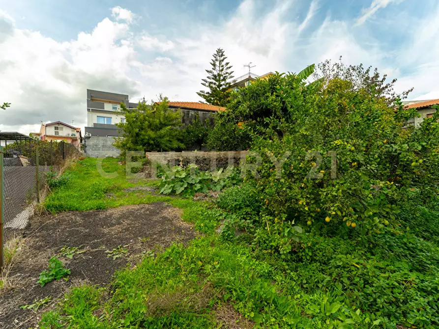 Immagine 8 di Terreno agricolo in vendita  in Via Cerza 35 a San Gregorio Di Catania
