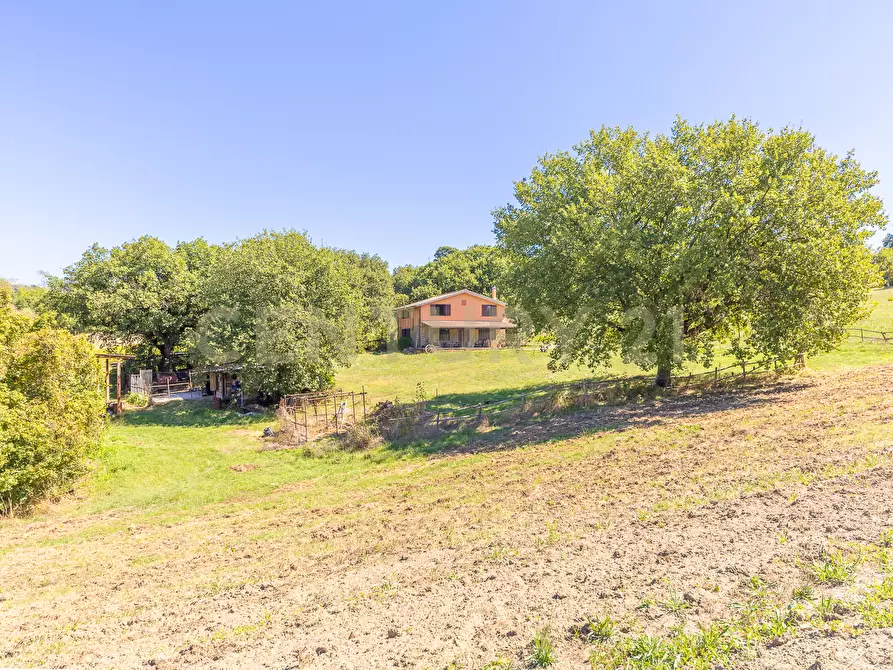 Immagine 28 di Rustico / casale in vendita  in località san quirichello a Barbarano Romano