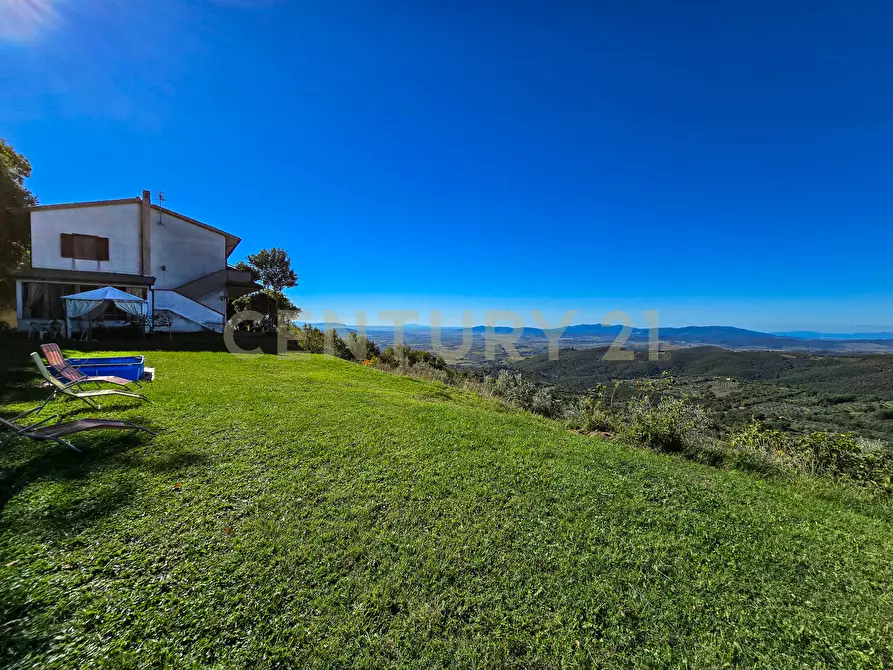 Immagine 39 di Villa in vendita  in località le coste a Roccastrada