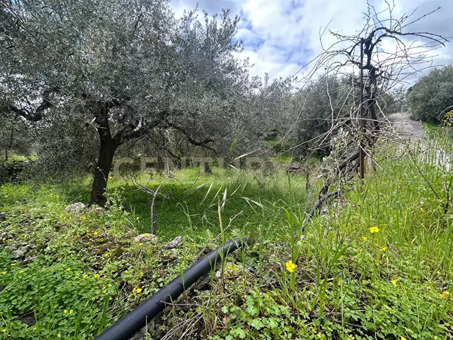 Immagine 33 di Terreno edificabile in vendita  in Viale Giovanni Falcone 9 a Camporotondo Etneo