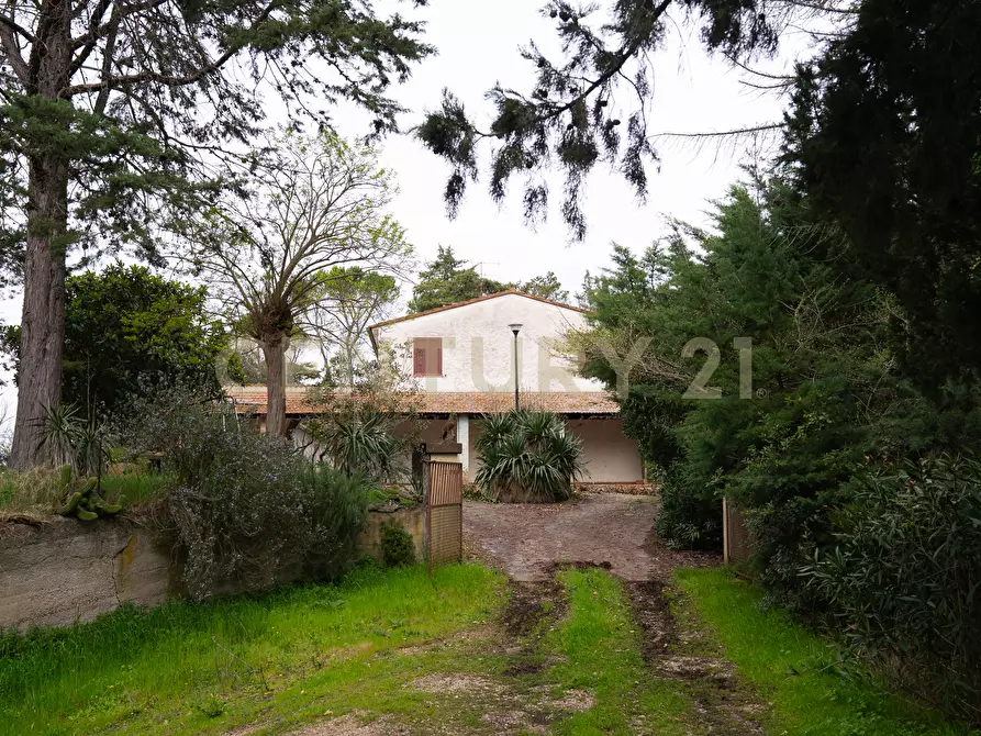 Immagine 39 di Rustico / casale in vendita  in sasso d'ombrone a Cinigiano