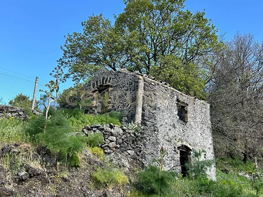 Immagine 12 di Terreno agricolo in vendita  in CONTRADA VIGNE a Biancavilla