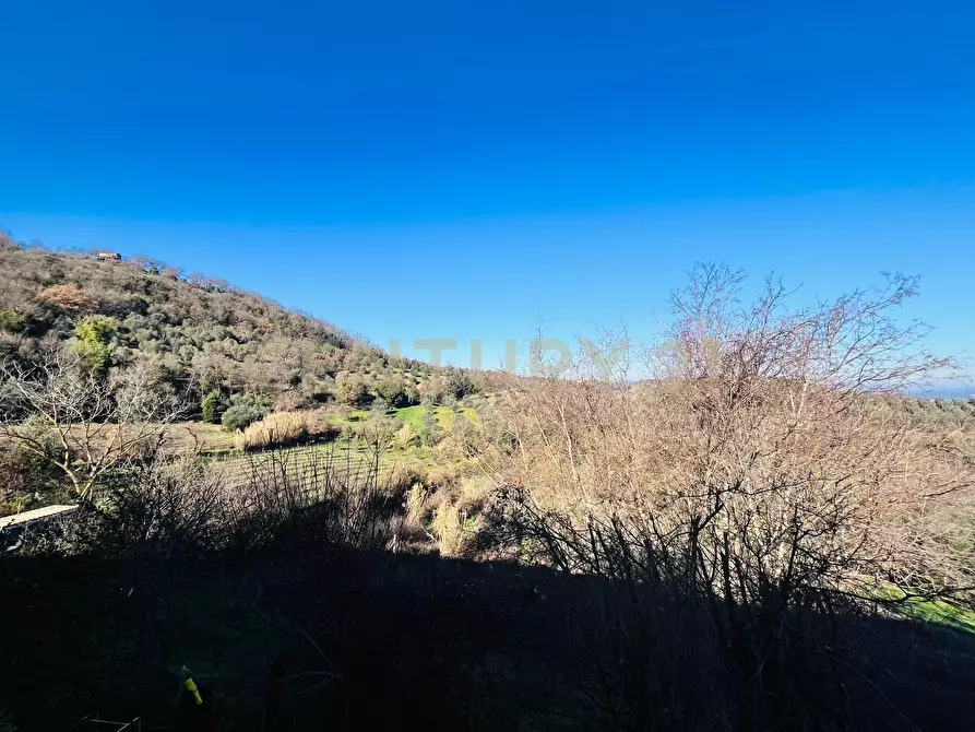 Immagine 19 di Casa bifamiliare in vendita  in località podere pelacane snc a Cinigiano