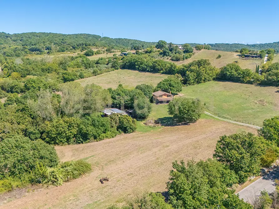 Immagine 34 di Rustico / casale in vendita  in località san quirichello a Barbarano Romano