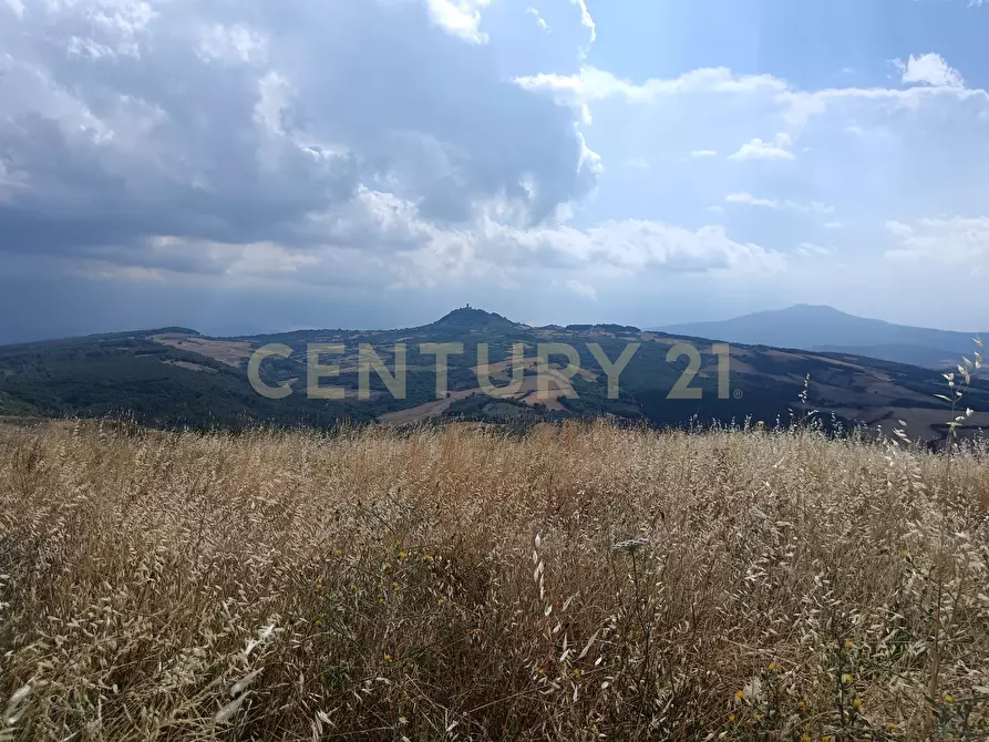 Immagine 3 di Terreno edificabile in vendita  in Località Podere Scarpetta 90 a Radicofani
