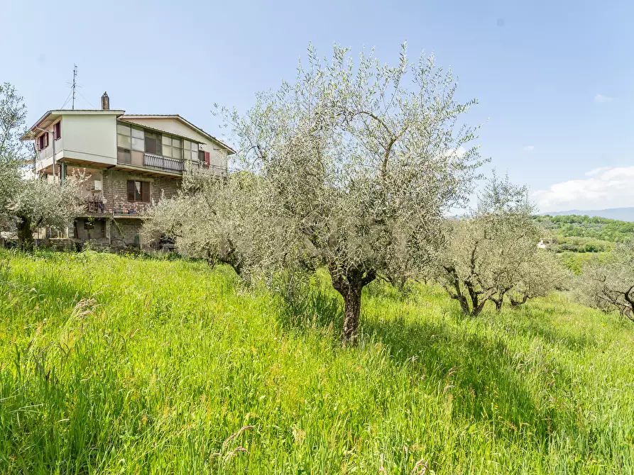 Immagine 19 di Villa in vendita  in Via Colle Sant'Angelo 36 a Serrone