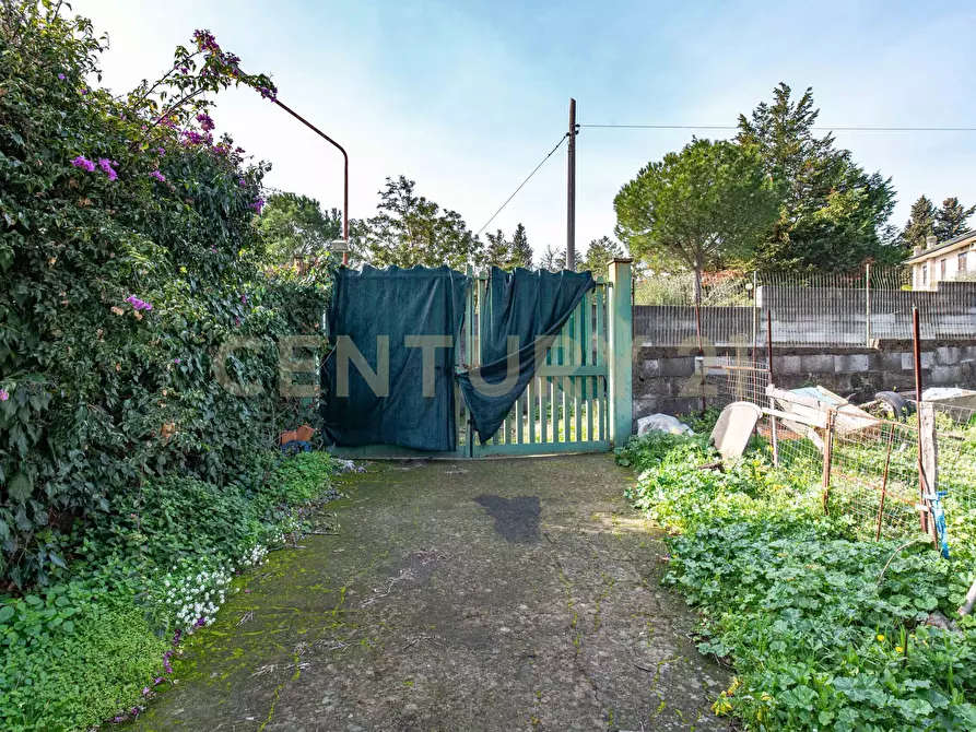 Immagine 16 di Pentalocale in vendita  in Via delle Ginestre s.n.c. a Pedara