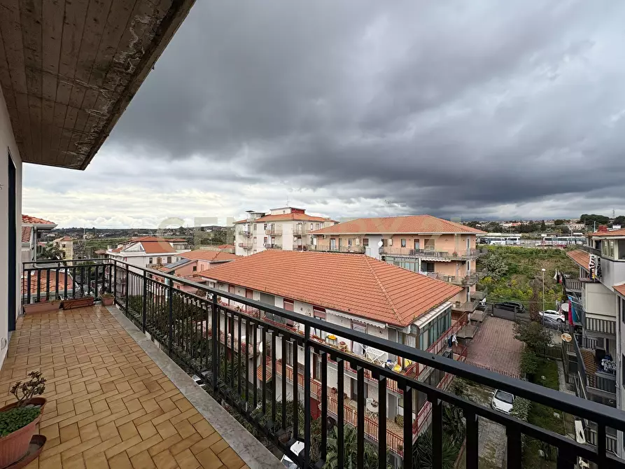 Immagine 8 di Trilocale in vendita  in Via dei Giacinti a Misterbianco