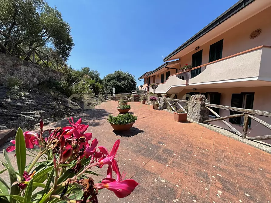 Immagine 38 di Trilocale in vendita  in Via della cacciarella a Monte Argentario
