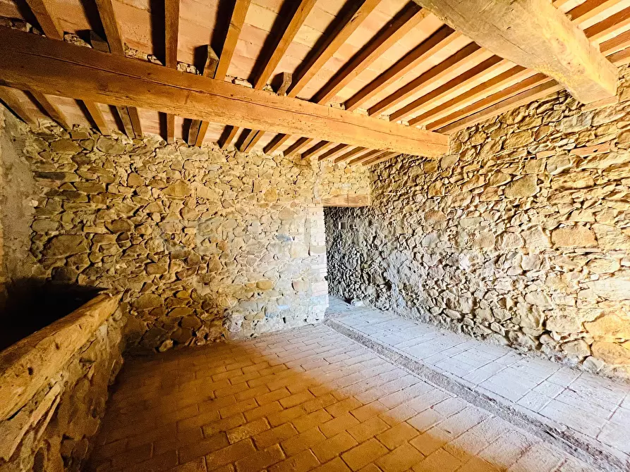 Immagine 13 di Casa bifamiliare in vendita  in località podere pelacane snc a Cinigiano