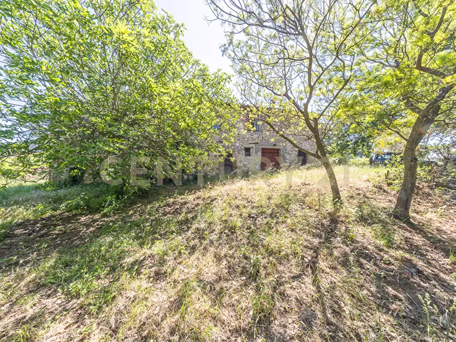 Immagine 22 di Rustico / casale in vendita  in Via Tiberina 384 a Narni