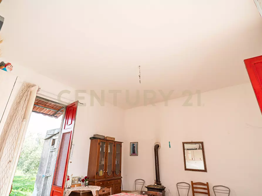 Immagine 16 di Terreno agricolo in vendita  in Contrada San Francesco snc a Paterno'