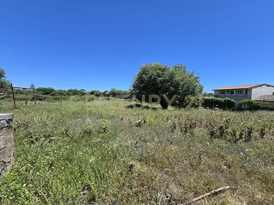 Immagine 18 di Terreno agricolo in vendita  in Vico Agatino De Marco a Gravina Di Catania
