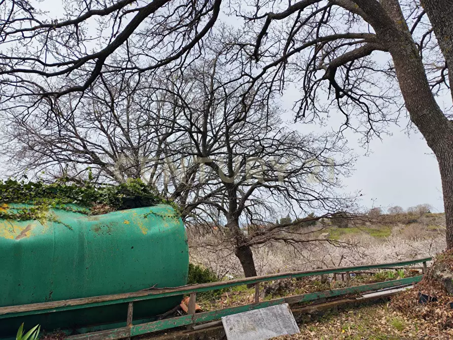 Immagine 19 di Terreno agricolo in vendita  in BIANCAVILLA a Catania