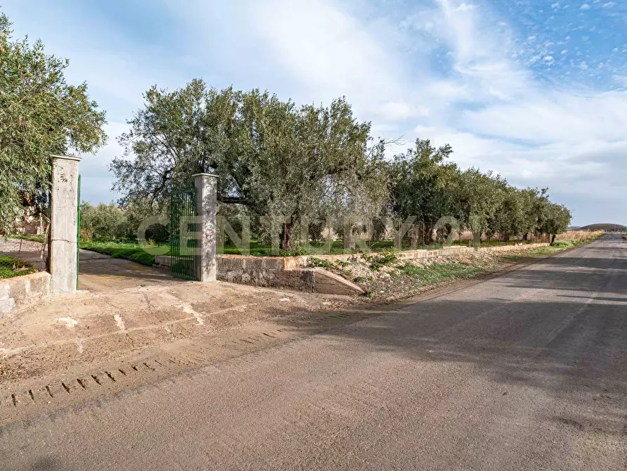 Immagine 1 di Terreno agricolo in vendita  in Contrada San Francesco snc a Paterno'