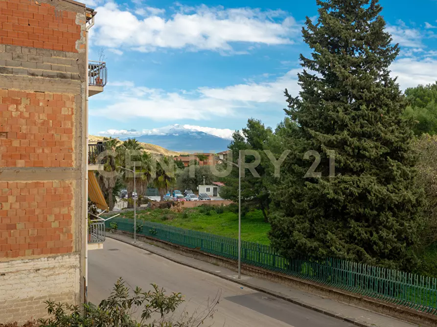 Immagine 26 di Appartamento in vendita  in Via Montegrappa 35 a Ramacca