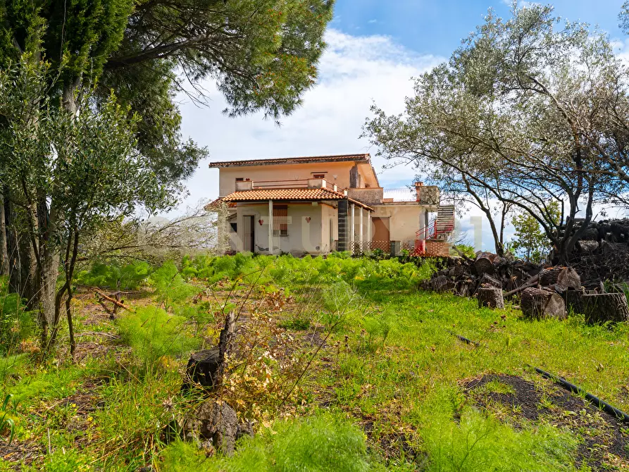 Immagine 23 di Villa in vendita  in Via Nocille 55 a Mascali