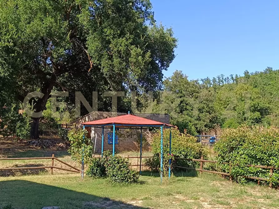 Immagine 19 di Rustico / casale in vendita  a Manciano