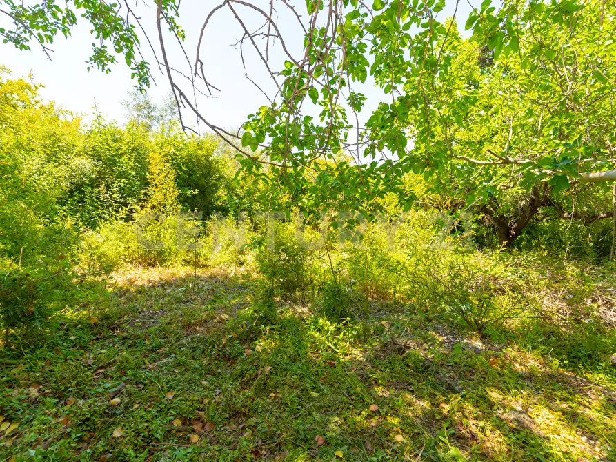 Immagine 29 di Rustico / casale in vendita  in Via Roccamena 84 a Acireale