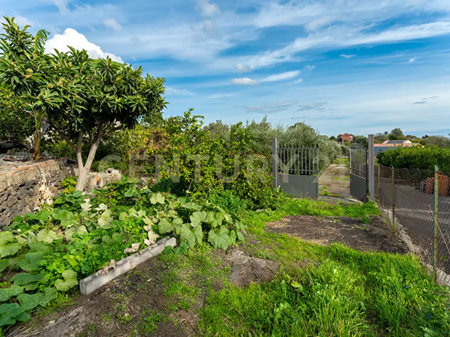 Immagine 7 di Terreno agricolo in vendita  in Via Cerza 35 a San Gregorio Di Catania