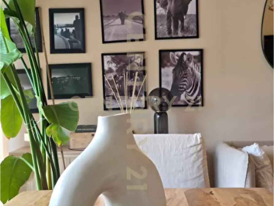 Immagine 13 di Casa trifamiliare in vendita  in Via della Vigna a Castiglione Della Pescaia