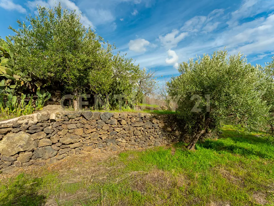 Immagine 21 di Terreno agricolo in vendita  in Via Cerza 35 a San Gregorio Di Catania