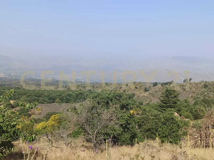 Immagine 41 di Terreno agricolo in vendita  in C.da Filiciusa a Biancavilla
