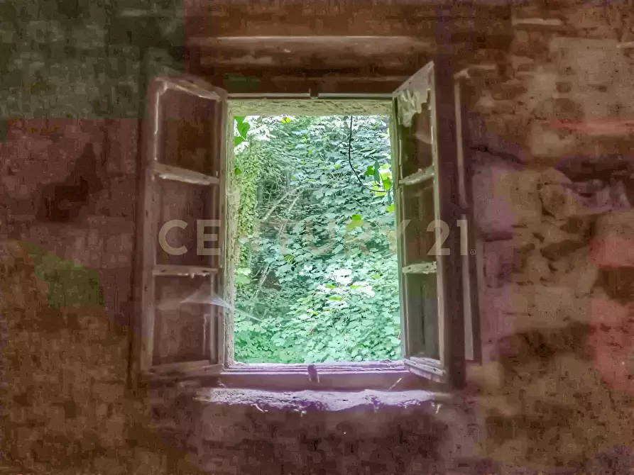 Immagine 16 di Rustico / casale in vendita  in Via dell'Eremo 1 a Castiglione D'orcia