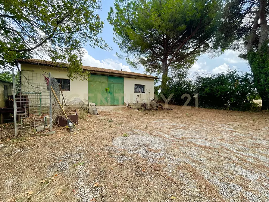 Immagine 19 di Rustico / casale in vendita  in località quarto albegna snc a Manciano