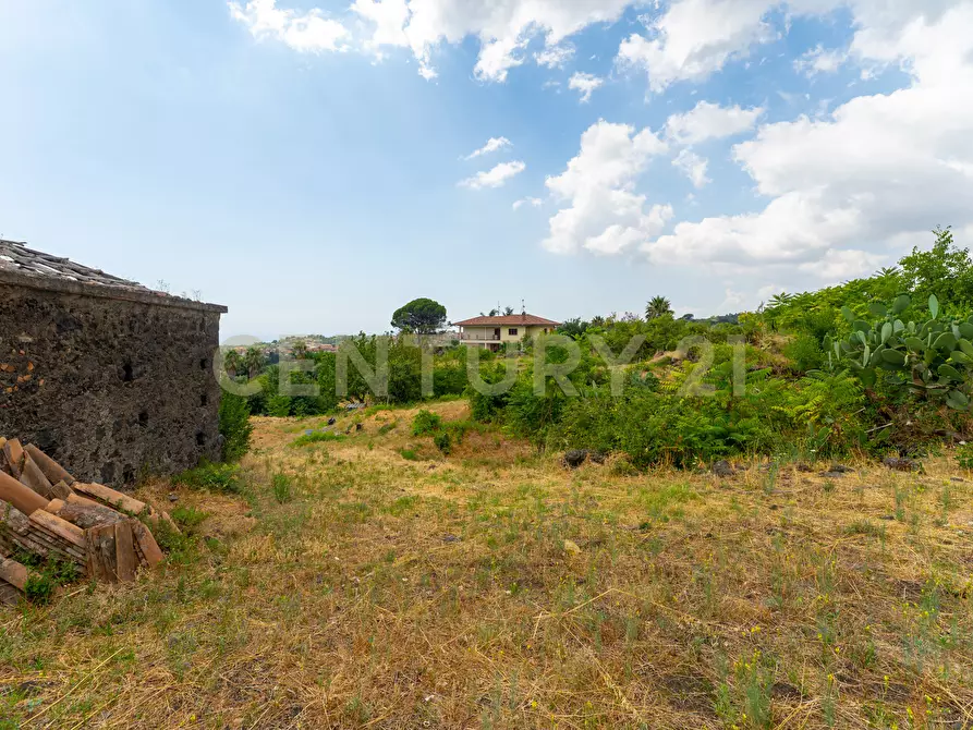 Immagine 42 di Villa in vendita  in Via Grazia Deledda 28 a Santa Venerina