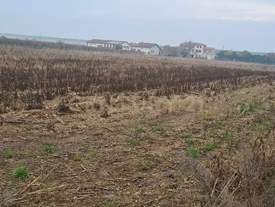 Immagine 9 di Terreno agricolo in vendita  in Via Siberie a Sommacampagna