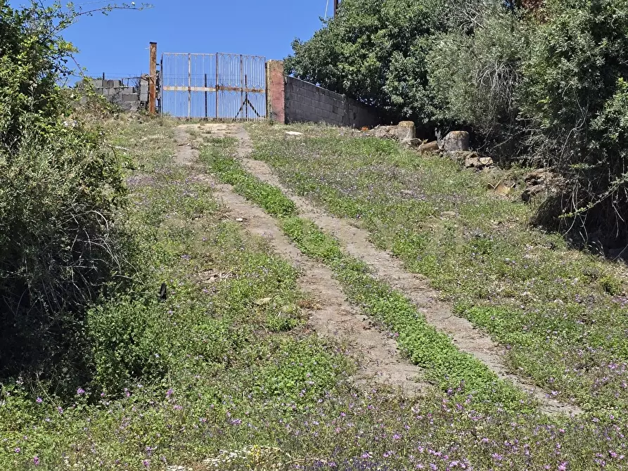 Immagine 60 di Terreno agricolo in vendita  in Vico Agatino De Marco a Gravina Di Catania